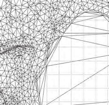 The network of triangles in the TIN model and the network of squares in 50 m resolution Ryc. 2.