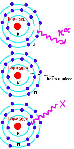 III. Zastosowania praktyczne 1.