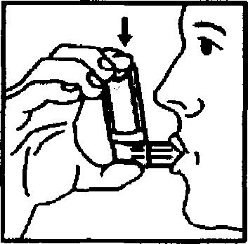 działania. Instrukcja stosowania 1. Zdjąć nasadkę ochronną z ustnika, patrz rysunek 1. 2. Wstrząsnąć inhalatorem. 3. Trzymając inhalator, wykonać głęboki wydech, a następnie natychmiast 4.