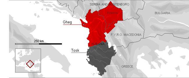 Podrodzina albańska Problemy opisu języków Podstawy klasyfikacji