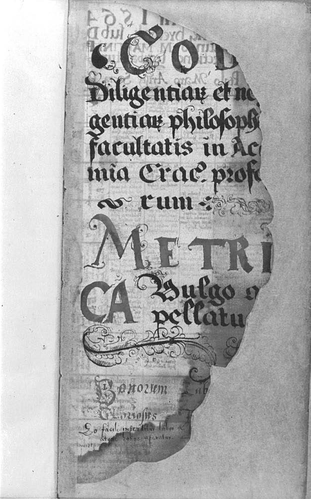 Fot. 1.