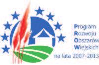 strategii rozwoju dla maùych projektów