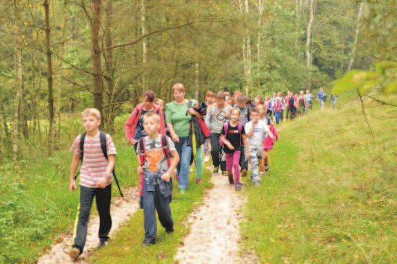 Walory przyrodnicze tego terenu zwiàzane sà takýe z dolinà rzeki Drzewiczki i jej dopùywami.