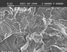 Ry 12 Kruchy transkrystaliczny i międzykrystaliczny charakter pękania ig 12 Transcrystalline and intercrystalline brittle fracture usunięty w procesie spęczania.