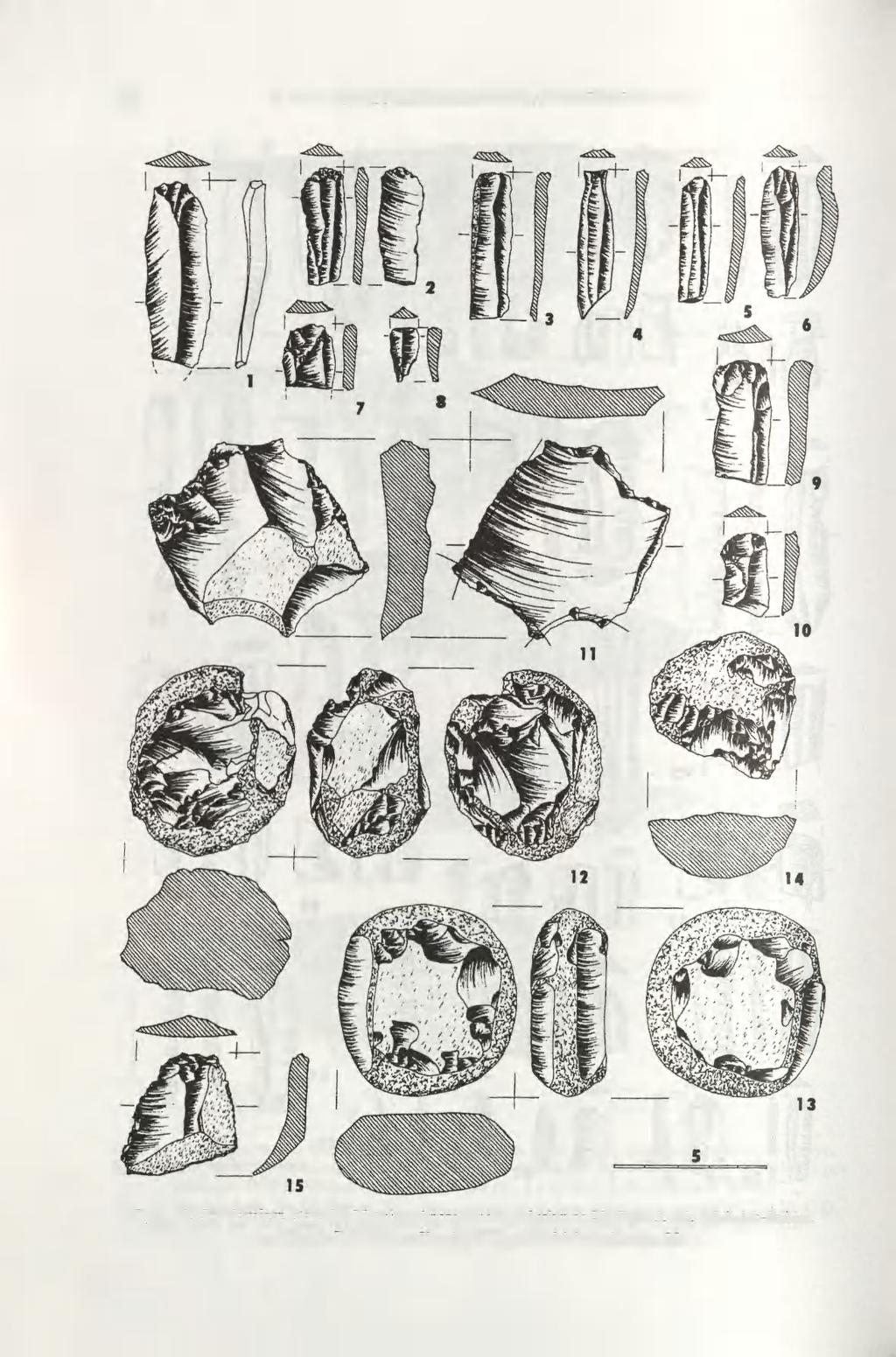 116 JOLANTA M. MICHALAK-ŚCIBIOR. KALINA TARAS Ryc. 33. Sandomierz, stan. 20.