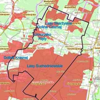 Dziennik Urzędowy Województwa Świętokrzyskiego 79 Poz. 4005 Rysunek 6.