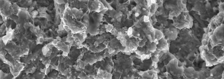 Structure surfaces of the materials after extrusion at 53 C semiproducts made by hot consolidation: Osprey S23 powder,