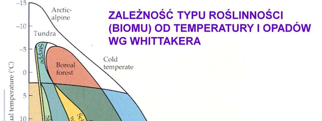 Klasyfikacja Whittakera ma takie same załoŝenia, jak schemat Holdridge a, ale jest znacznie prostszy i poprawniejszy: dwuwymiarową przestrzeń