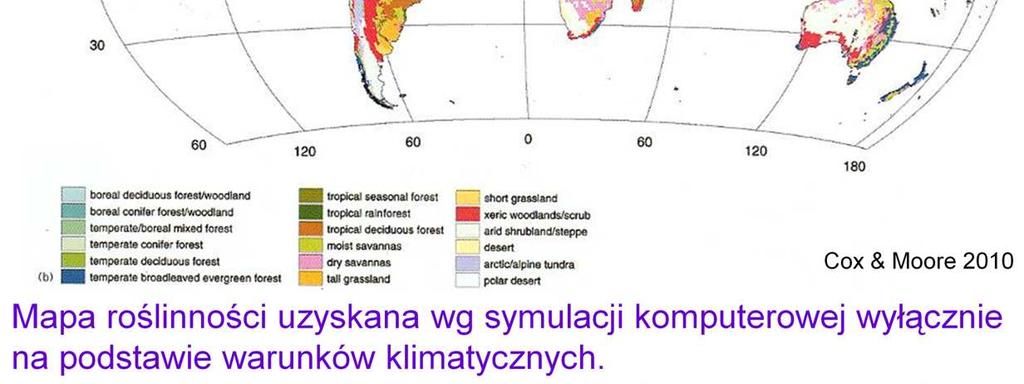 mapę lądowych biomów świata