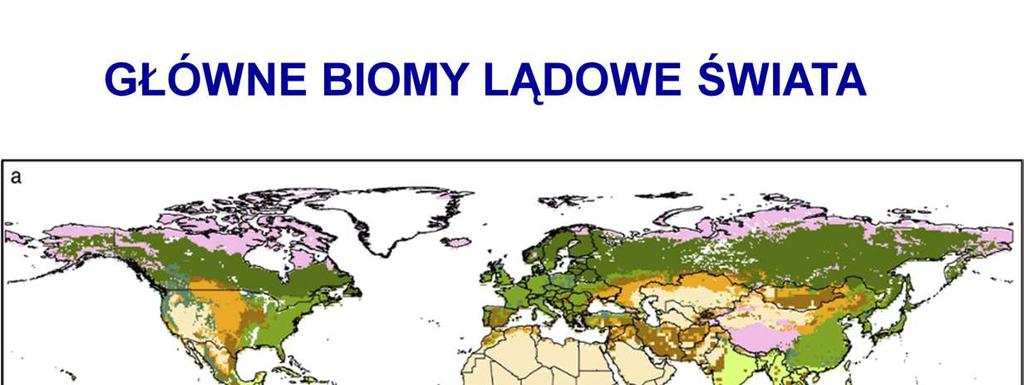Inni autorzy wyróŝniają 9 głównych kategorii (mapa poprzednio pokazana zawierała ich 18).