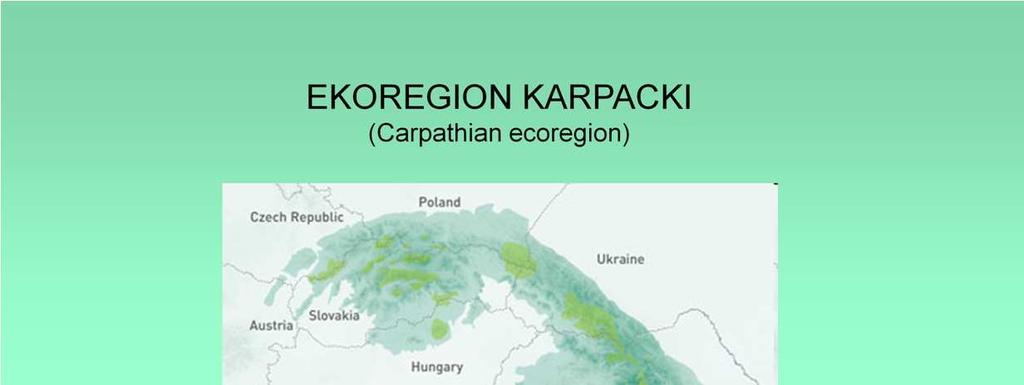 WyróŜnianie ekoregionów ma znaczenie dla ochrony