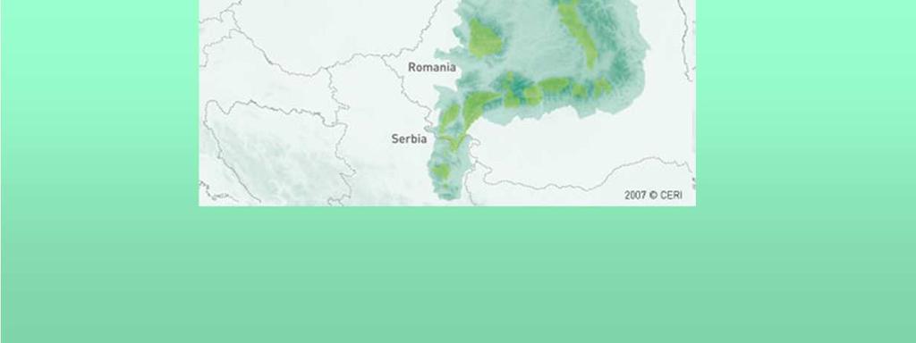 międzynarodowe.