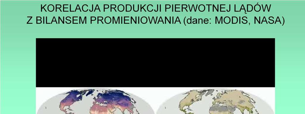 Produkcja pierwotna