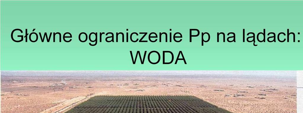 Inny przykład: nawodnione pole pomidorów na pustyni Negev w Izraelu zielona wyspa na