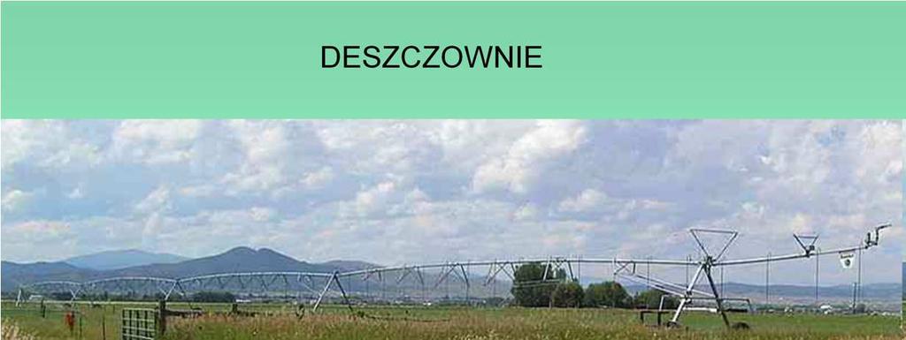 Koliste zielone plamy to ślad podlewania