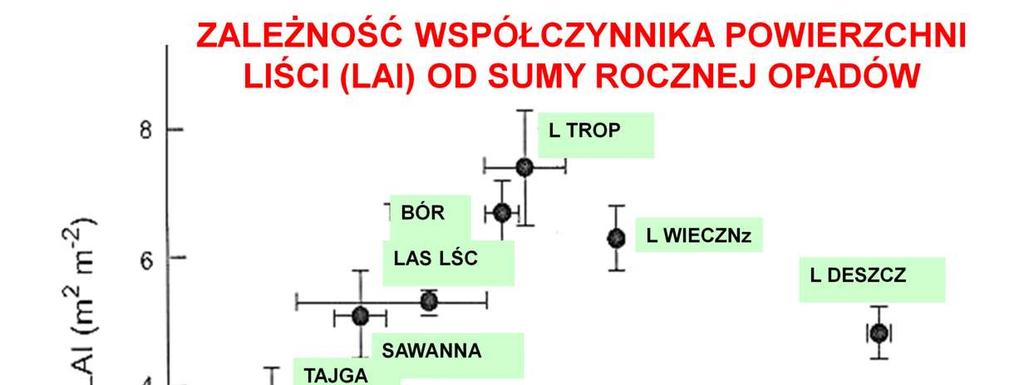 LAI determinuje tempo produkcji pierwotnej, więc występuje teŝ