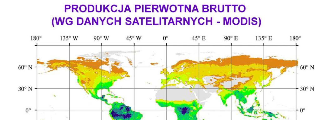 Dane satelitarne pozwalają równieŝ oszacować produkcję pierwotną na podstawie charakterystyki spektralnej danego miejsca (współczynnik NDVI i