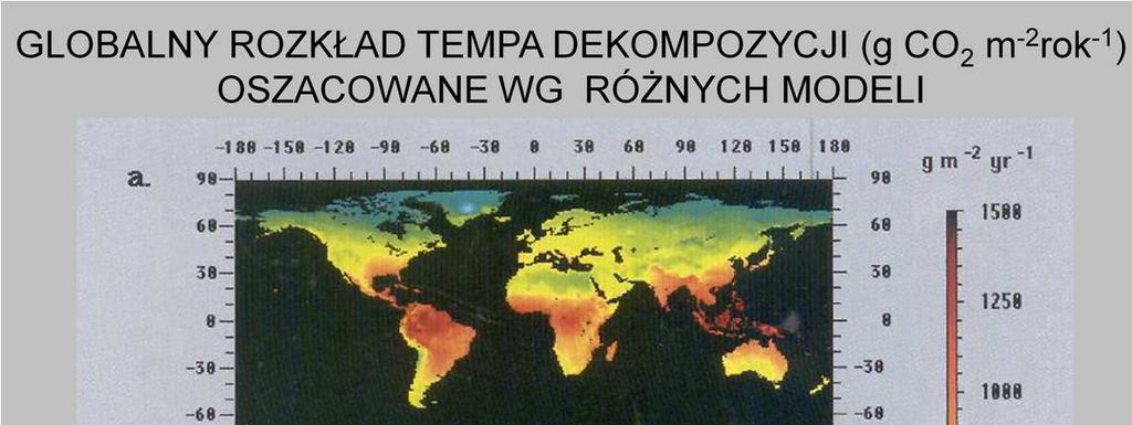 Znając pośrednie zaleŝności tempa dekompozycji od róŝnych czynników,