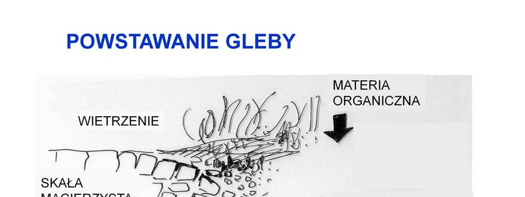Najogólniej, proces glebotwórczy polega na akumulacji mieszaniny zwietrzałej skały macierzystej i zdekomponowanej częściowo materii organicznej.