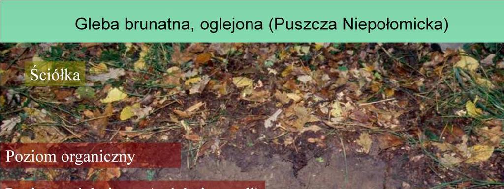 Przy płytkim i ruchomym