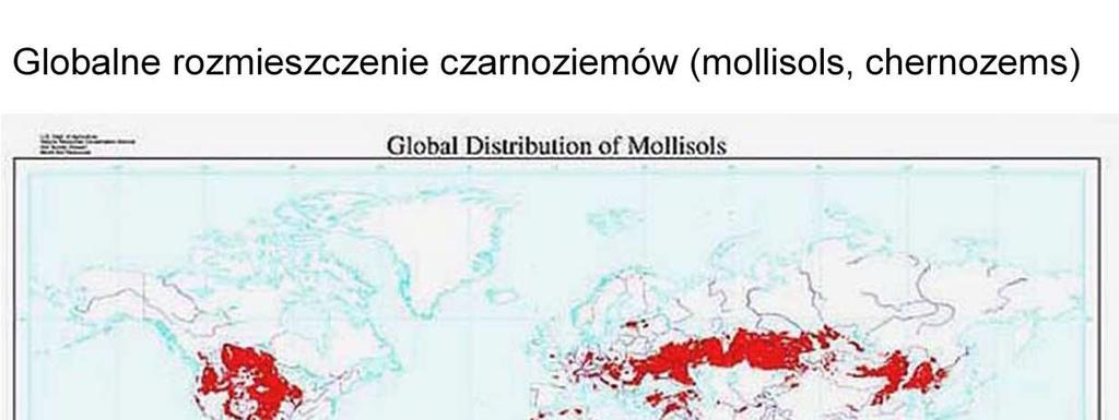 Czarnoziemy występują w wielu