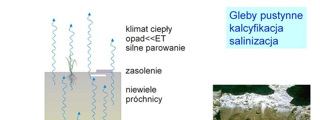 Pustynie występują tam, gdzie parowanie zdecydowanie przewaŝa nad opadami.