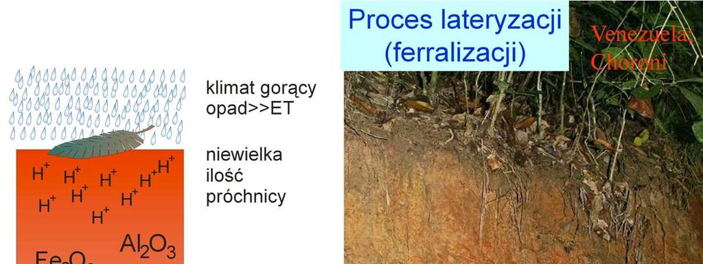 Proces lateryzacji zachodzi w klimacie gorącym, wilgotnym, gdzie ilość opadów znacznie przewaŝa nad parowaniem.