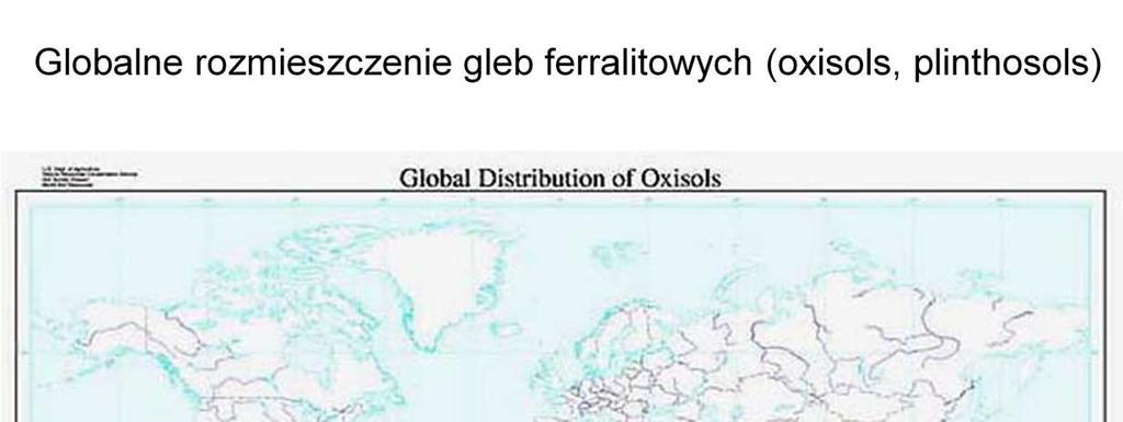 Gleby ferralitowe