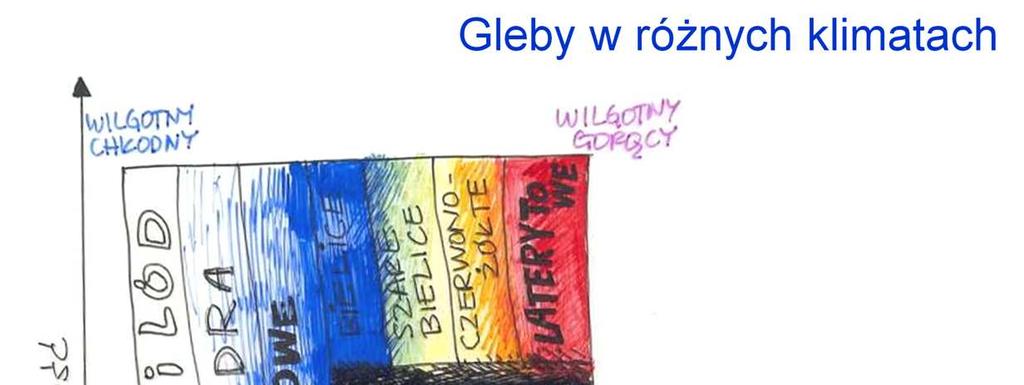 Znajomość podstawowych