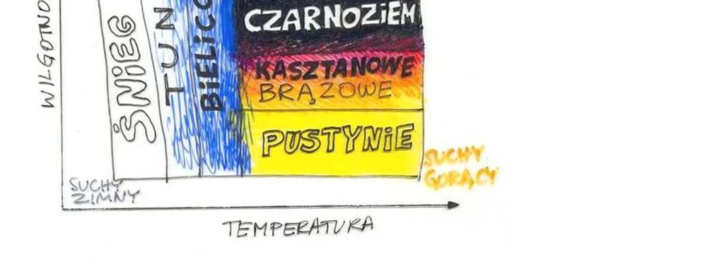 pozwala przewidzieć jakich