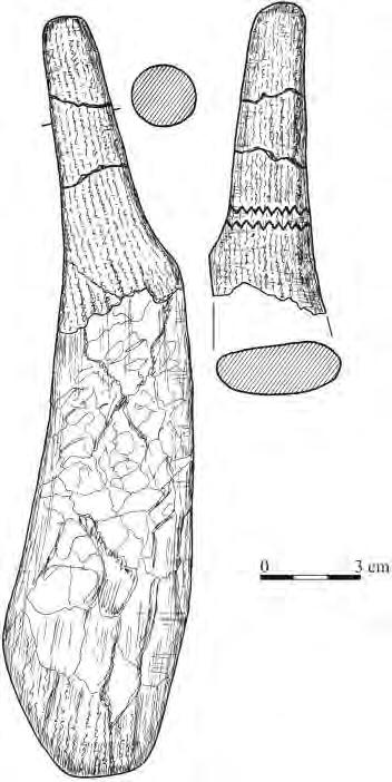144 TADEUSZ GALIŃSKI Ryc. 8. Bolków, stan. 1. Przedmiot rogowy zdobiony ornamentem rytym Fig. 8. Bolków, site 1.