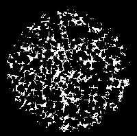 3c) przedstawia makropory o rozmiarach promieni geometrycznych <= 0,6 mm, zidentyfikowane na rysunku 3a. a b c Rys. 3. a, b, c (od lewej do prawej).