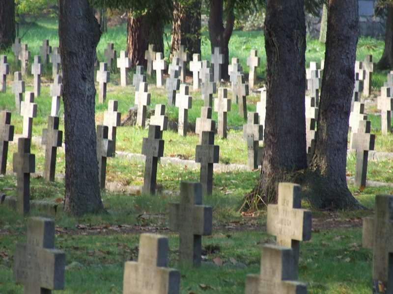 Jedna naprawdę dobra publikacja a będą nas