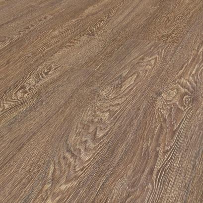 olimpus hickory