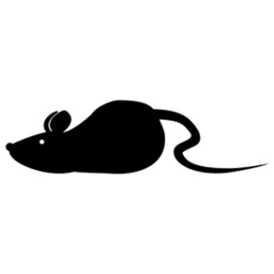 LUTY 2017 GRUPA TYDZEŃ OPS NUTK V NNE Zwierzęta domowo (mój przyjaciel pies; kot i ja; królik i inne gryzonie; powtórz za mną - papuga) Zwierzęta dzikie (rudy lis i
