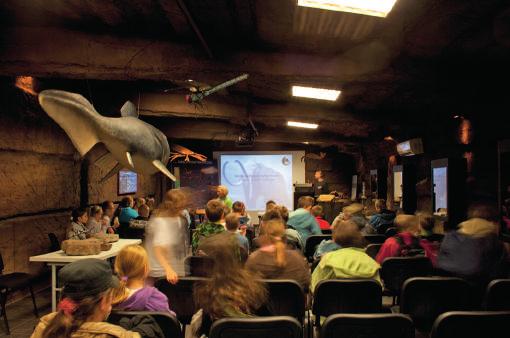 AKTYWNA EDUKACJA Zajęcia edukacyjne dostępne w ramach oferty Bałtowskiego Kompleksu Turystycznego obejmują tematykę zawartą w podstawie programowej stanowiąc zarazem jej poszerzenie.