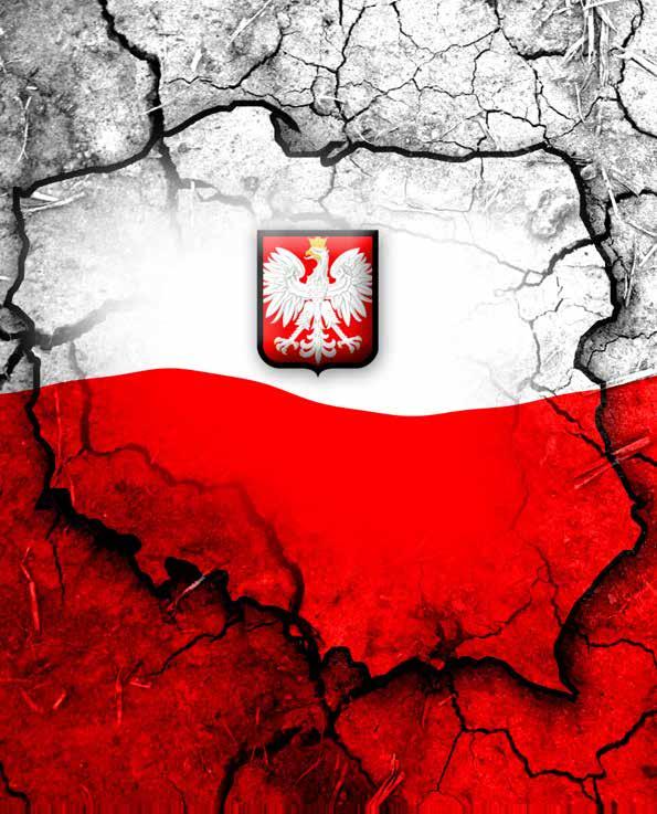 KIERUNKI POLSKIEJ DYPLOMACJI W 2017 ROKU?