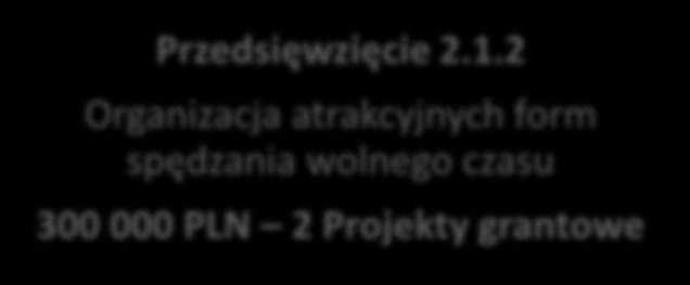 Przedsięwzięcie 2.1.