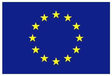 10 6. Opis szczegółowych wymagań odnośnie stosowania znaku graficznego Unii Europejskiej zawiera Załącznik I Wytycznych dotyczących emblematu i określenia standardowej kolorystyki do Rozporządzenia