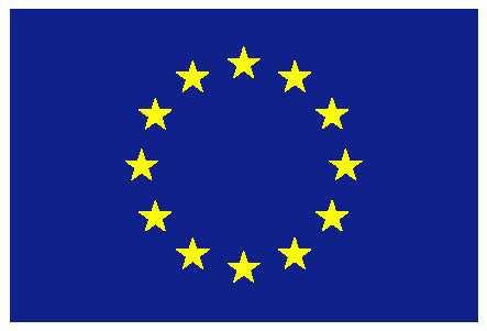 10 6. Opis szczegółowych wymagań odnośnie stosowania znaku graficznego Unii Europejskiej zawiera Załącznik I Wytycznych dotyczących emblematu i określenia standardowej kolorystyki do Rozporządzenia
