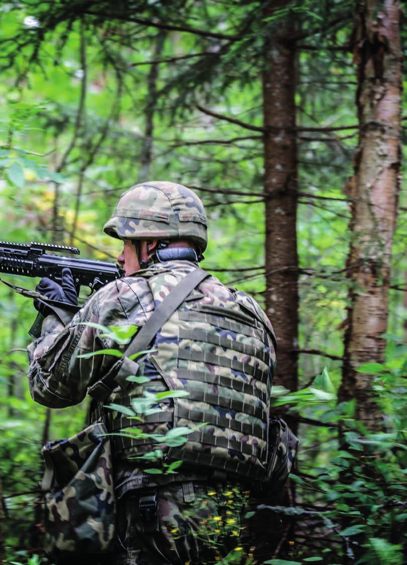 TEMAT NUMERU WALKA W LESIE + Pokrycie terenu sprawia problemy związane z wykorzystaniem możliwości poszczególnych środków ogniowych do prowadzenia ognia.