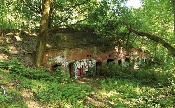 Schron Baterii Skrzydłowej fort I / prawy 2 (dolny) Numer projektowy: F Ia/r2 NUMER OC: B63 TYP: oryginalny rok budowy: 1890 Modernizacje: brak latryna: brak