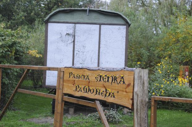 OPIS MIEJSCOWOŚCI Godzięcin to niewielka wieś w Polsce położona w województwie dolnośląskim, w powiecie wołowskim, w gminie Brzeg Dolny.