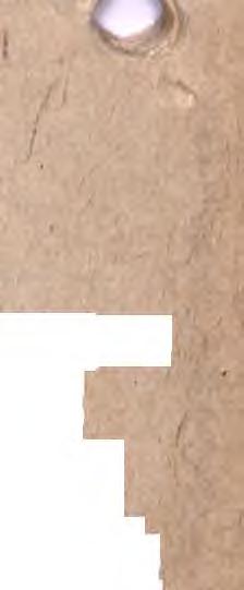 ' J ' ; ' - '