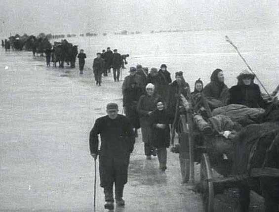 ŁAMANIE PRAW CZŁOWIEKA PODCZAS MIGRACJI LUDNOŚCI 103 strach przed Rosjanami, podsycany przez propagandą nazistowską 32.