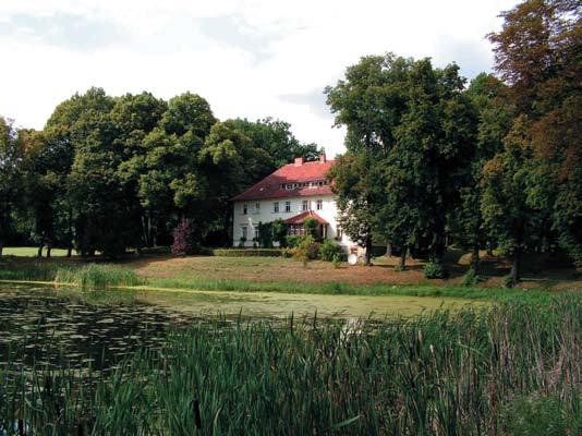 Drzewa i krzewy parków wiejskich w południowo-zachodniej części województwa zachodniopomorskiego między Odrą a Myślą 109 Drzewa i krzewy W 42 parkach, zlokalizowanych między Odrą a Myślą,