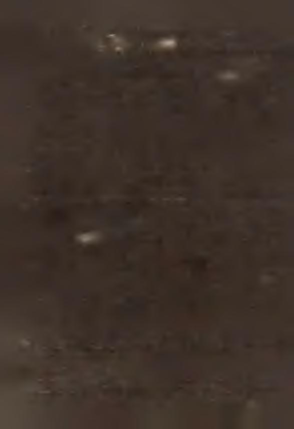 Gospodarka państwowa /dok./ pozostałe 1770 41,3 2.9 1407 32,8 363 14,1 w tym spółki państwowe 147 33,0 0,6 60 13,.