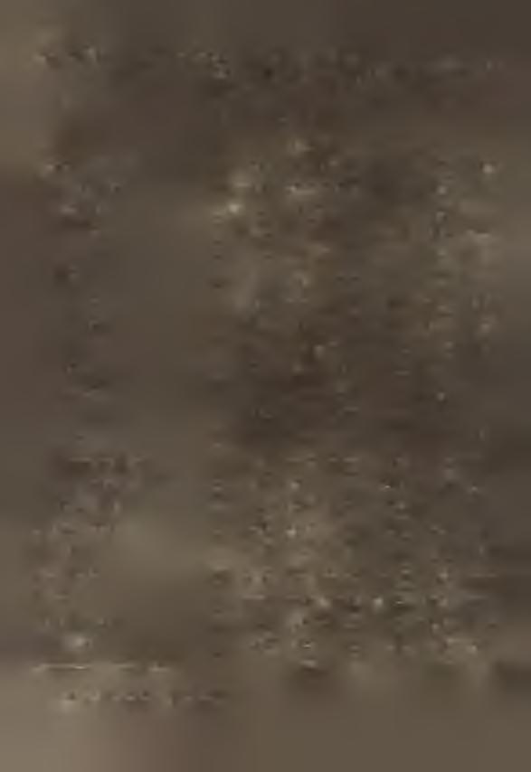 5,0 żyto 3837 41,3 158557 136,3 106,4 145,2 jęczmień 15790 49,8 786540 113,1 92,9 105,1 ozimy 3915 58,9 348281 1 1 2,9 99,2 111,9 jary 9875 44,4 >38259 1 1 3,2 88,4 100,2 owies 1414 48,2 68194 7 0,2