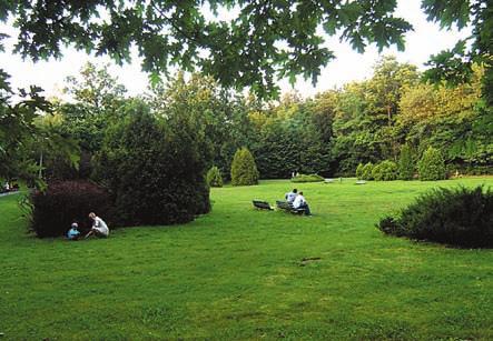 57. STRZELNICA / PARK WOLNOŚCI Na zachodnich obrzeżach miasta pabianiczanie mogą wypoczywać na terenie Parku Wolności, zwanego popularnie Strzelnicą.