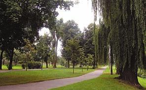 59. BULWARY 60. ZIELONA GÓRKA BULWARY Fotografia z 2007 r. Wąski na około 30 m. pasaż spacerowy, rozciągający się wzdłuż brzegu rzeki Dobrzynki od ul.